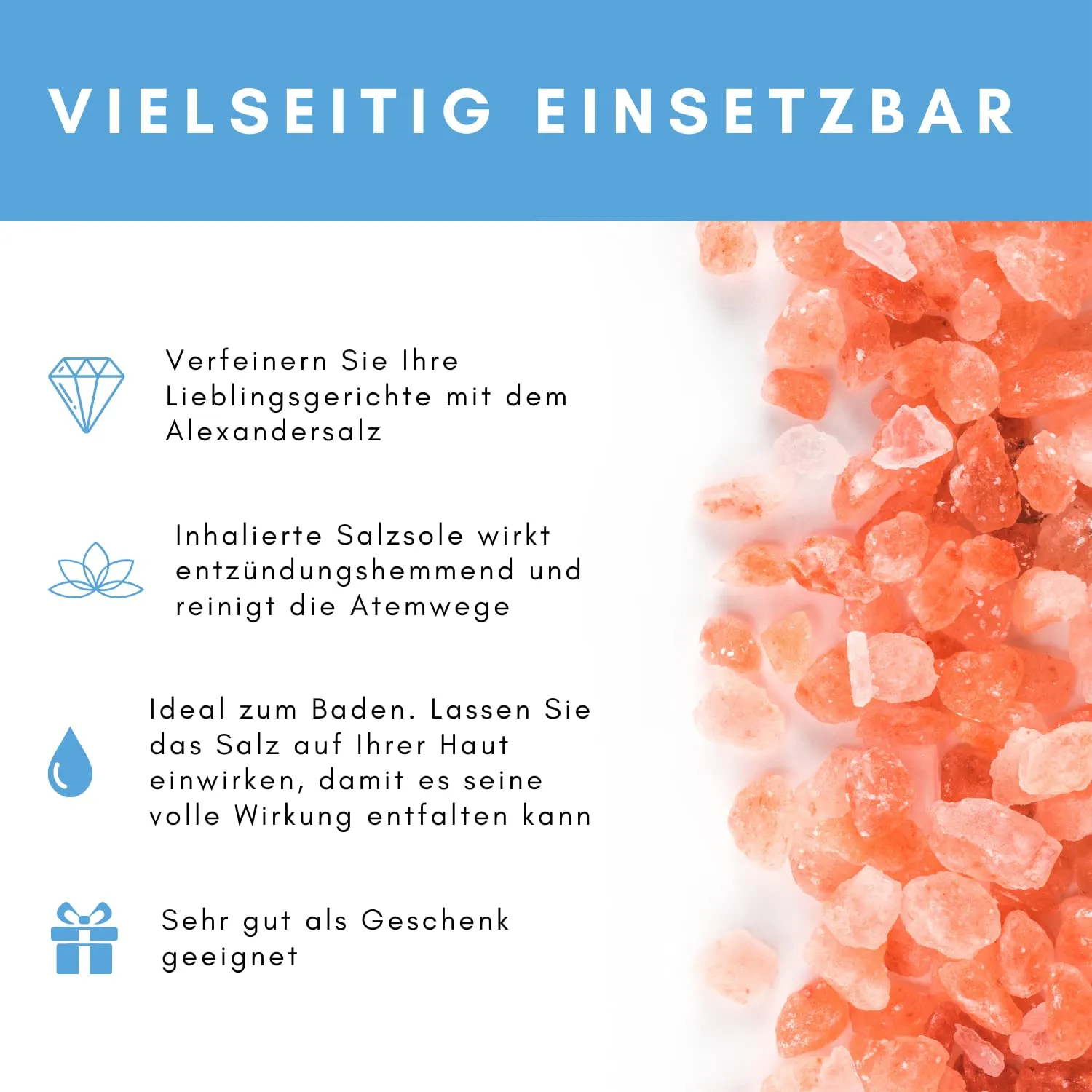 Lapis Vitalis Alexandersalz Natursalz 2x1kg