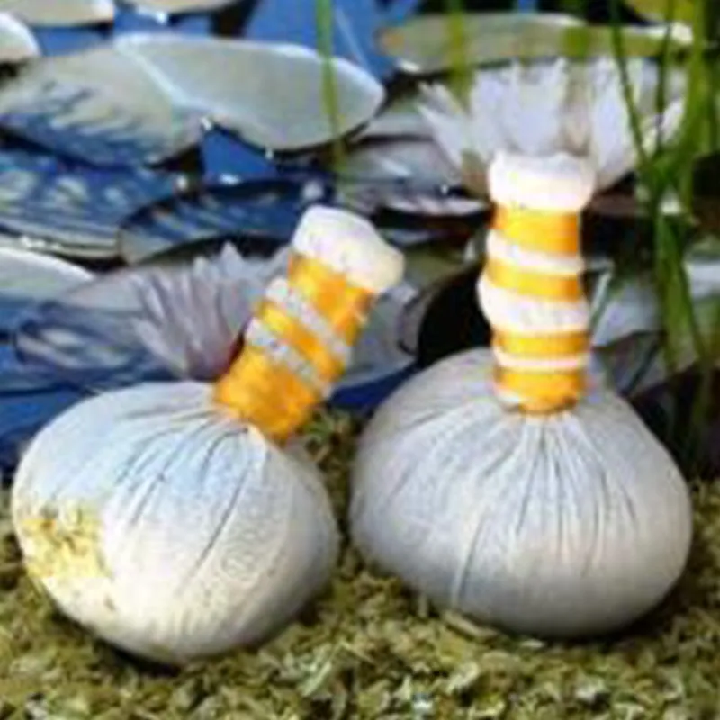 Atlantis Massagestempel DIY-Vorteilspack Baumwolle