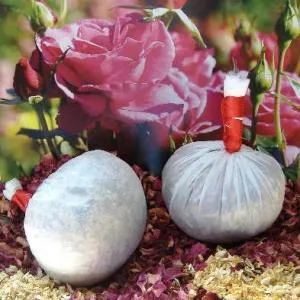 Atlantis Massagestempel DIY-Vorteilspack Baumwolle